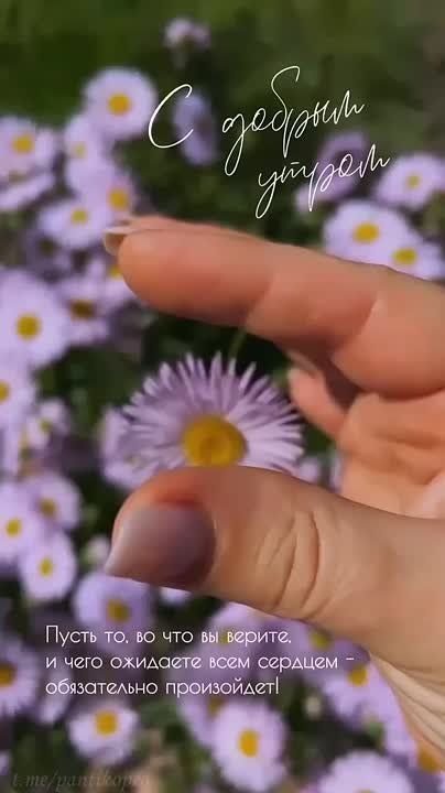 С добрым утром