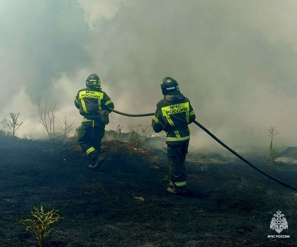Оперативная информация за сутки