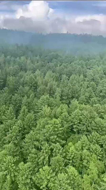 Пассажирский самолет разбился в Амурской области