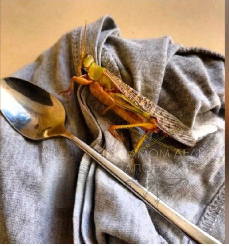 Проблемы индейцев шерифа не волнуют