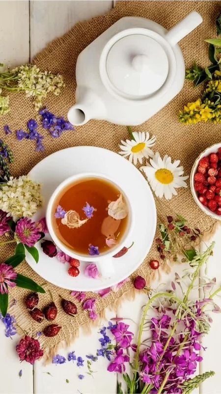 24 июля 2025 года. Сегодня, 24 июля 2025 года в Васильевке ясно, без осадков