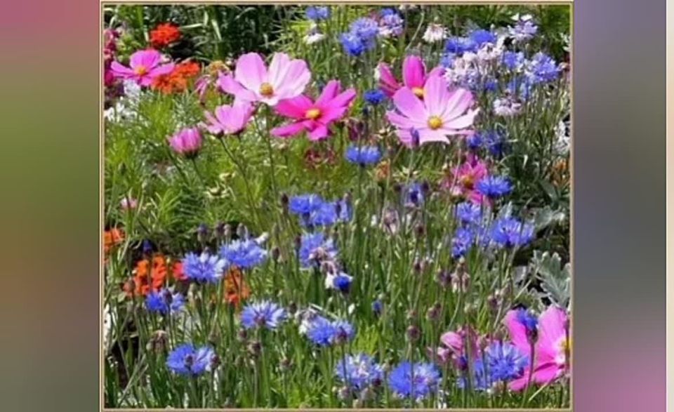 Вот мы и вышли на финишную прямую!