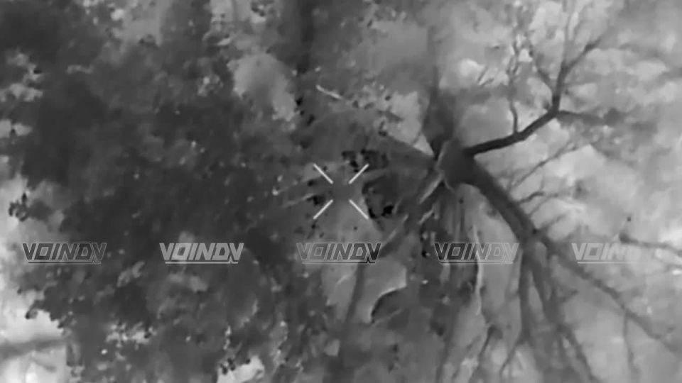 Артиллерия и операторы дронов 35 армии продолжают работу по поиску и уничтожению объектов противника на временно оккупированной ВСУ территории Запорожской области