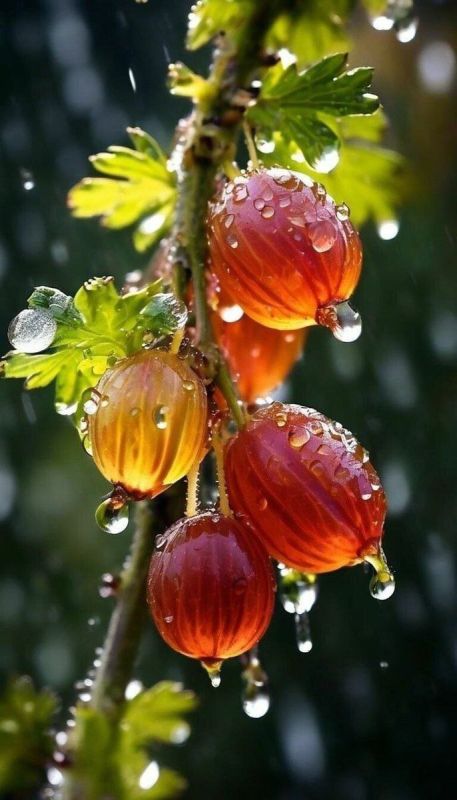 Доброе утро всем!