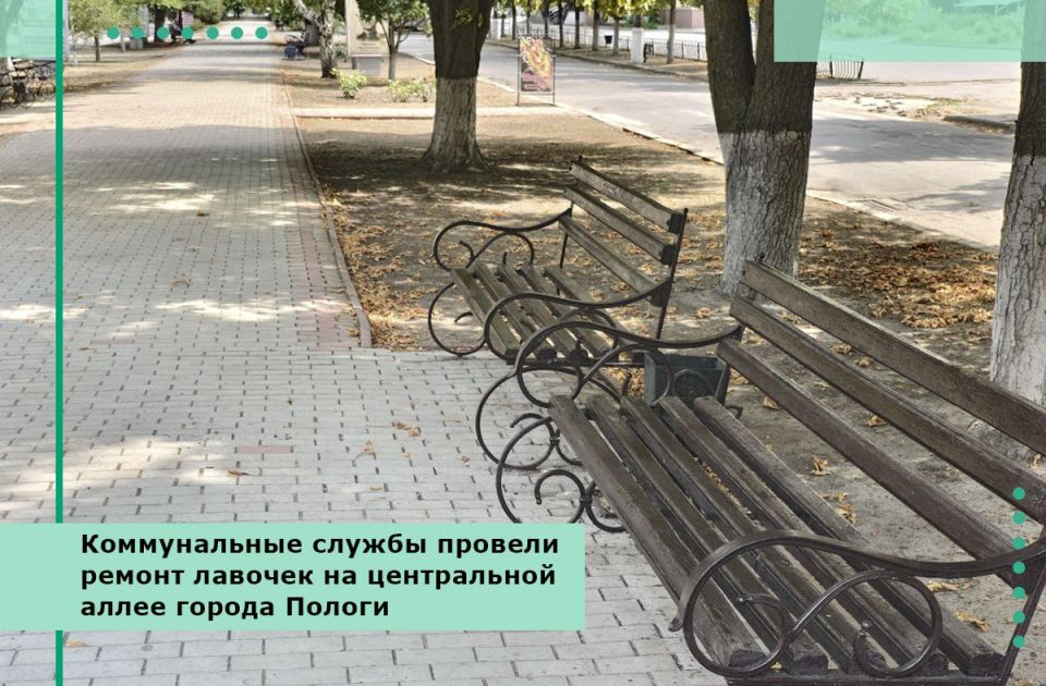 Коммунальные службы провели ремонт лавочек на центральной аллее города Пологи