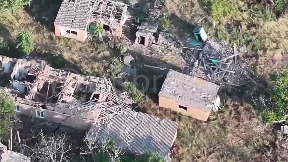 Операторы БПЛА отряда «Алания» Добровольческого корпуса прикрывают с неба товарищей по оружию на Запорожском направлении