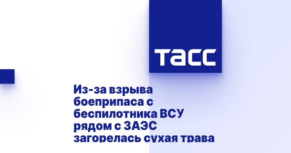 Из-за взрыва боеприпаса с беспилотника ВСУ рядом с ЗАЭС загорелась сухая трава
