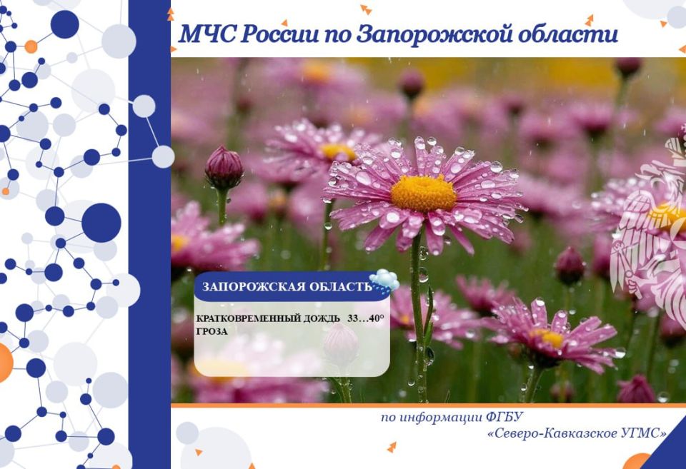 � 25 �� 26 ���� �� ���������� ������� ���������: