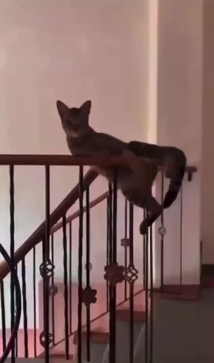 ����� ������� ���� ��� ���