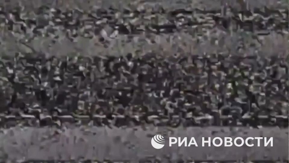 Украинские боевики занимают частные жилые дома и используют их как позиции для расчетов БПЛА вблизи линии соприкосновения к югу от города Орехов в Запорожской области