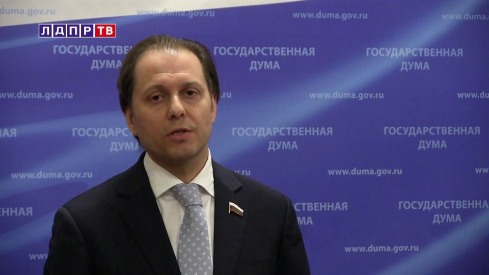 Фракция ЛДПР в Госдуме предложила новую меру поддержки семей с детьми