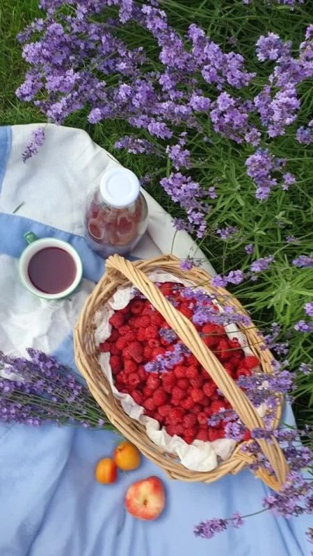 25 июля 2025 года