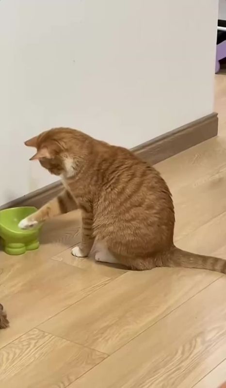 �� ��� � �������!. ����� ����� ������������ � � ��� �����