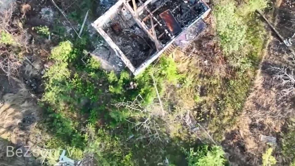 Даниил Безсонов: Кадры объективного контроля боевой работы расчётов БПЛА Новороссийского гвардейского десантно-штурмового соединения, которые при помощи квадрокопреров с ювелирной точностью уничтожают объекты ВСУ и их личный...