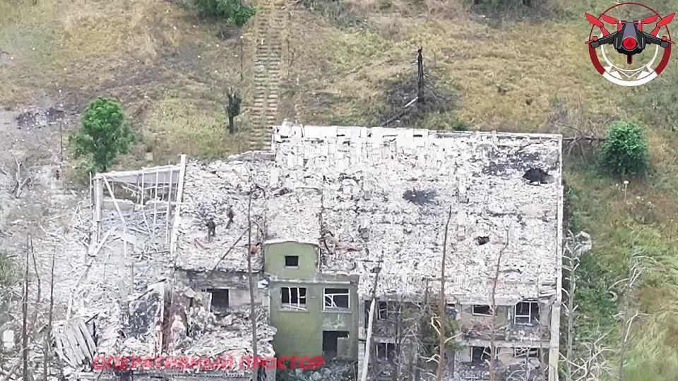 Подразделения 25 армии ГрВ «Запад» вышли к озеру Попово и Черниково в Серебрянском лесничестве