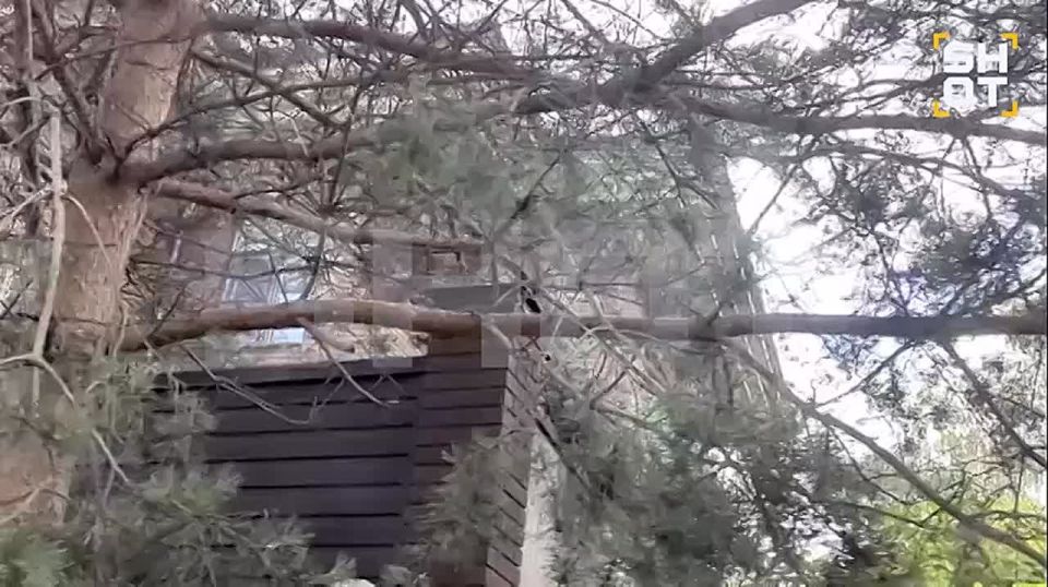 Подмосковный дом украинского музыканта Artik разваливается