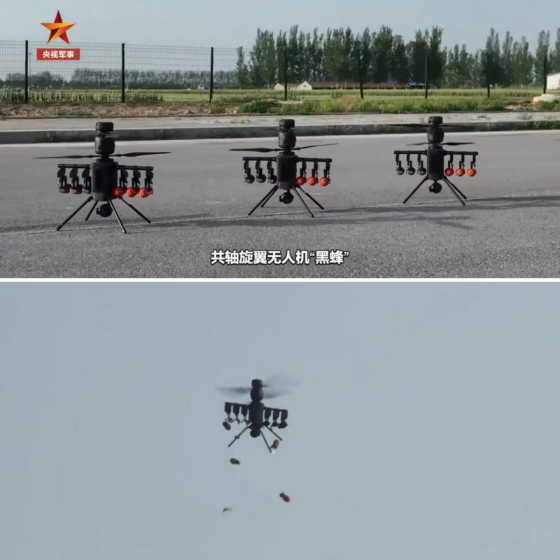 В Китае представили БПЛА Black Bee, способные нести шесть штатных сброса и действовать в составе роя