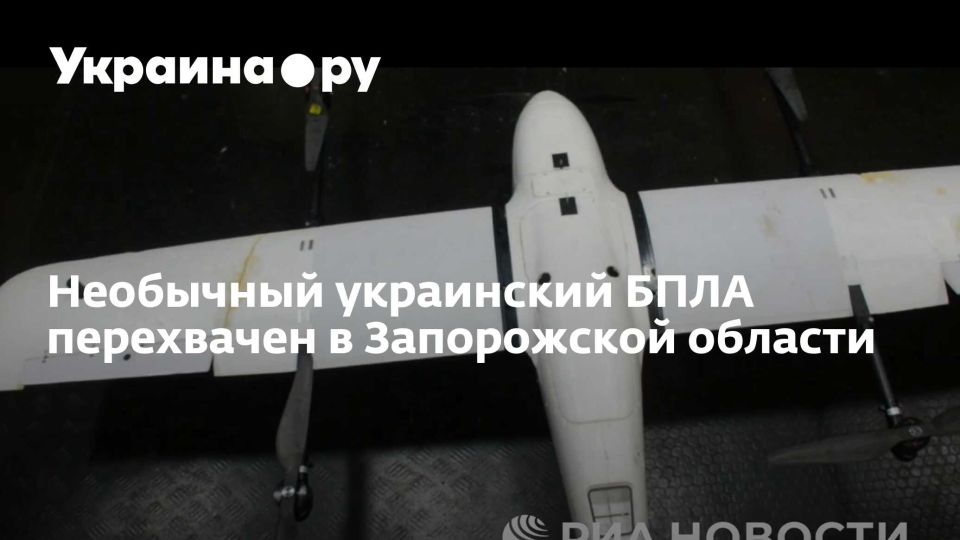 Необычный украинский БПЛА перехвачен в Запорожской области