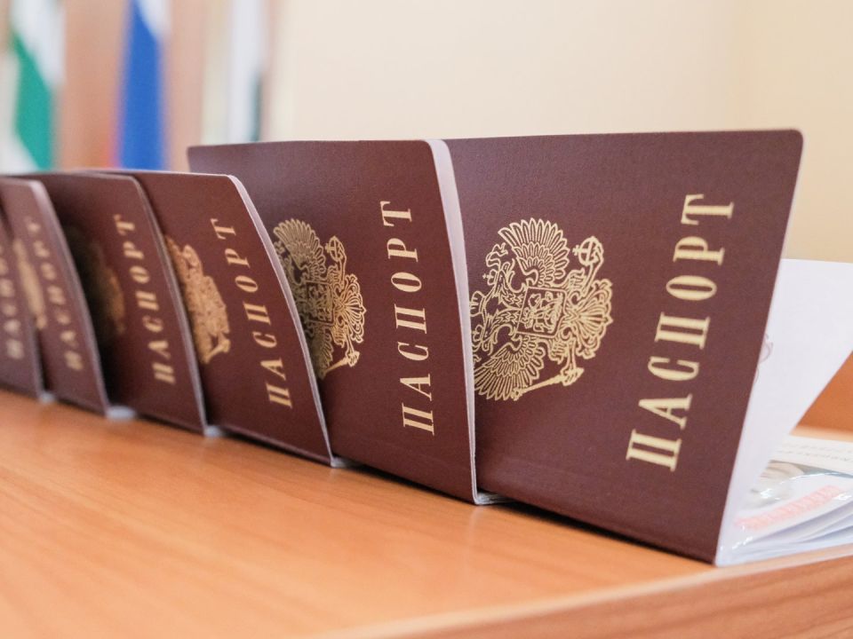 Бразильский боец UFC попросил российское гражданство