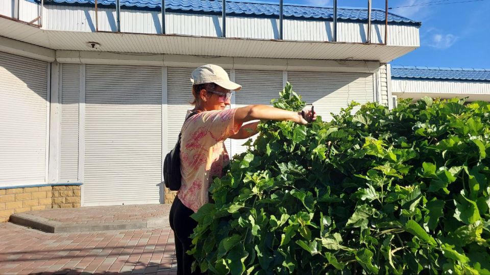 В Кирилловке продолжаются работы по облагораживанию территорий