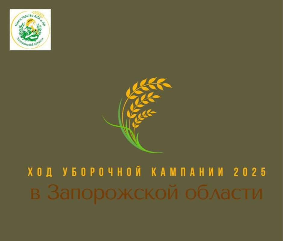 На полпути: в Запорожской области убрано уже почти 50% зерновых