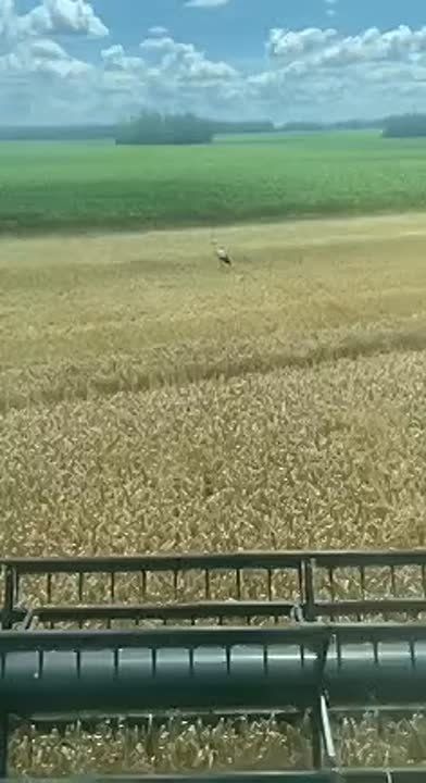 Максим Пухов: Друг прислал из Курской области