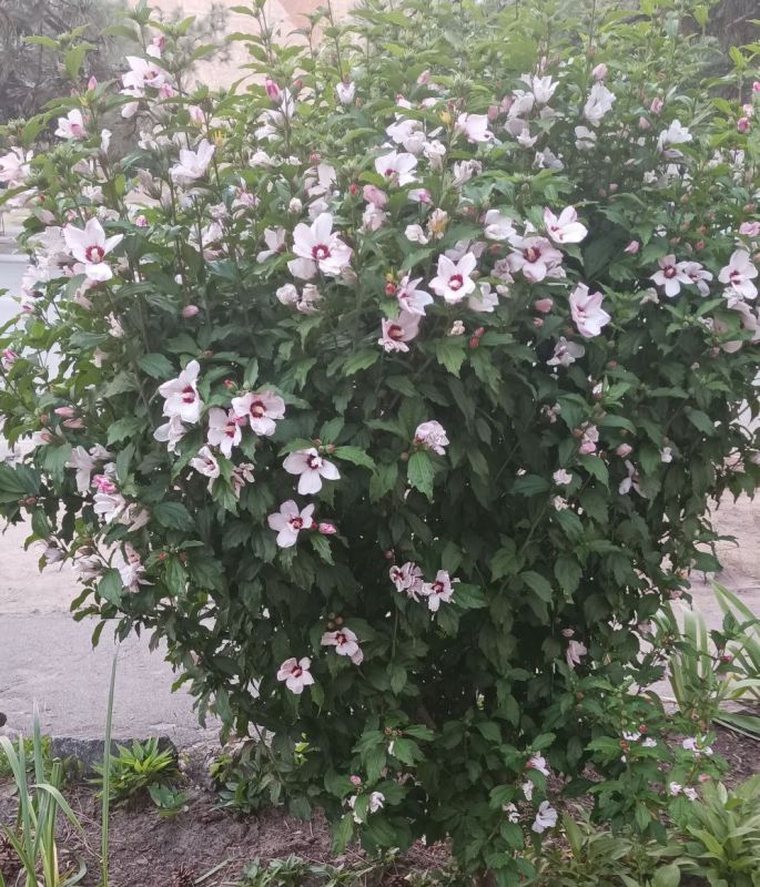 Поздравляем вас с наступлением прекрасного утра! Каждый раз оно неповторимо и замечательно