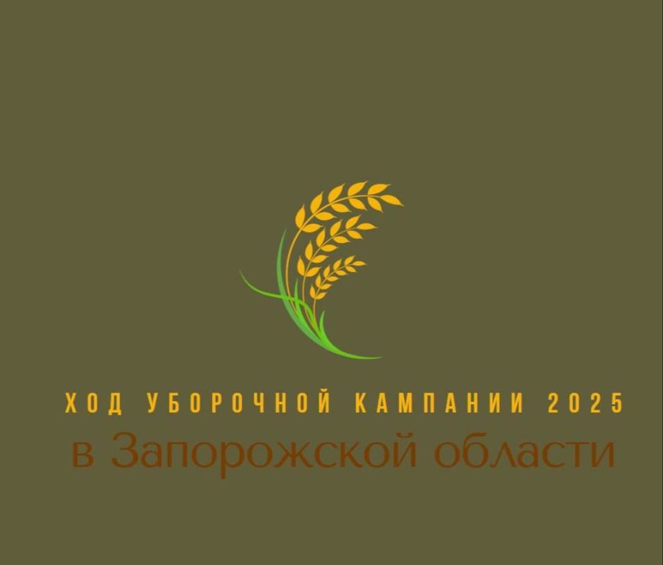 В Запорожской области убрано уже почти 50% зерновых