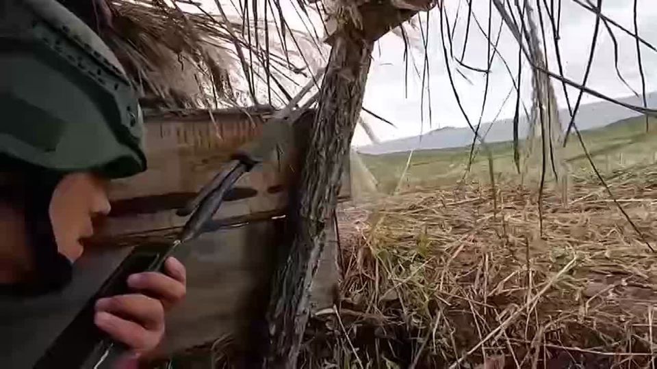 Анна Хорошун: Андрей Белоусов поздравил россиян с Днем Военно-морского флота