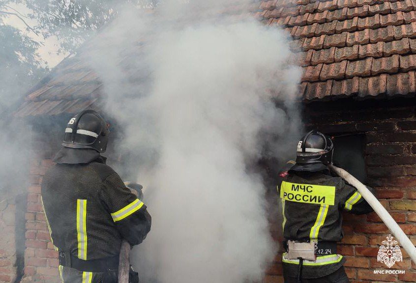 Оперативная информация за сутки