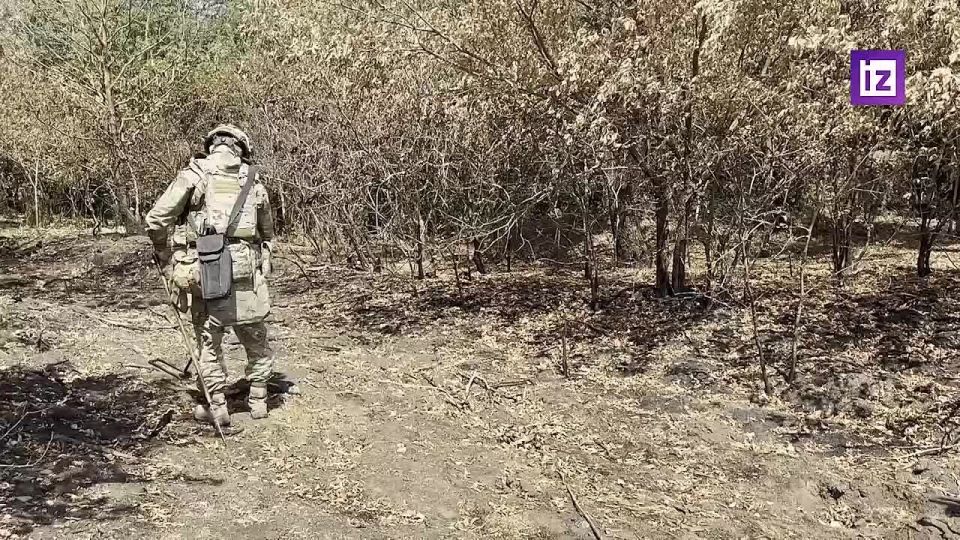 "Мы разминируем, чтобы люди могли дальше жить и радоваться жизни"