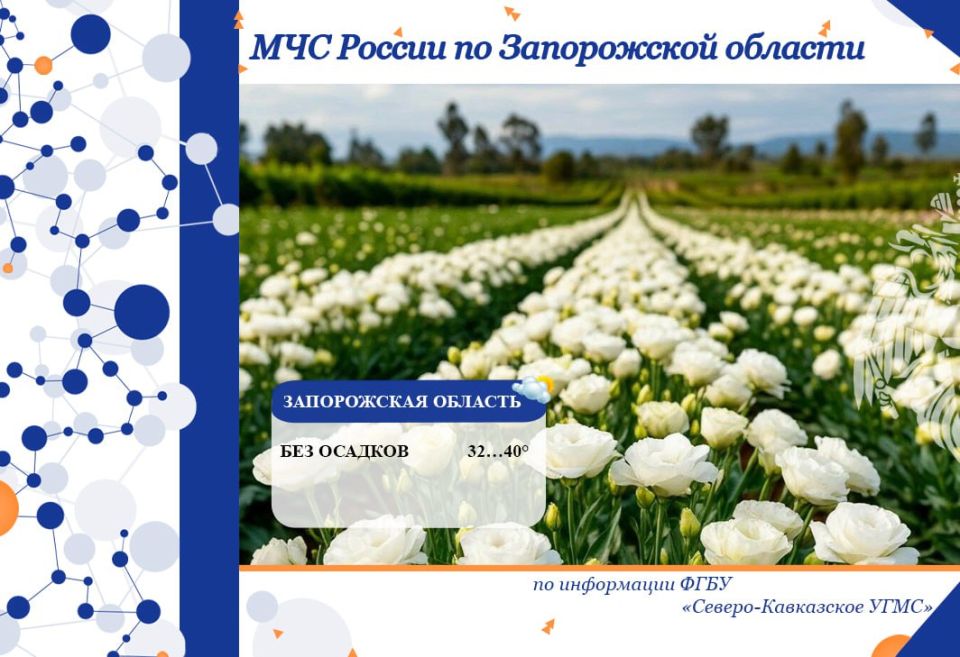 С 27 на 28 июля на территории региона ожидается: