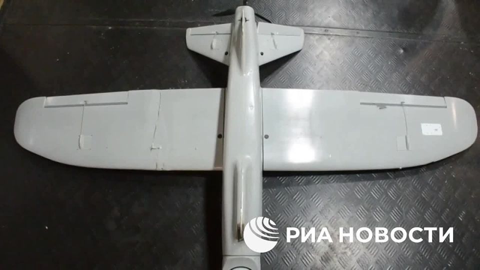 Российские специалисты посадили в Запорожской области дрон ВСУ "Лелека", который мог вести разведку инфраструктурных объектов, рассказали РИА Новости в силовых структурах