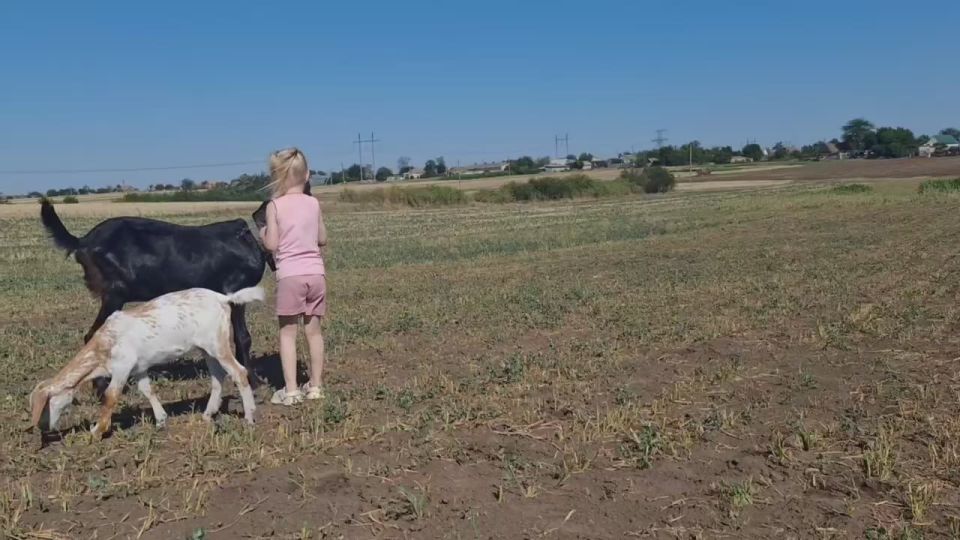 Андрей Сигута: Анна и Сергей — жители одного из сельских населённых пунктов Запорожской области — несколько лет назад приняли решение переехать из города в село и заняться ведением личного подсобного хозяйства