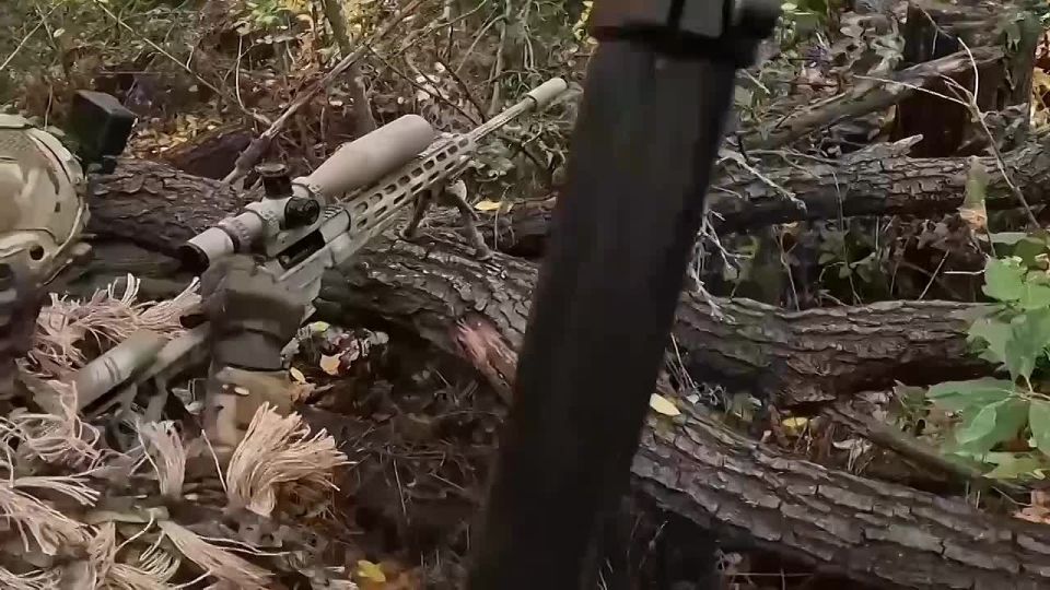 �������� ������ ������ ������ �������� ���� � ���������� ����� ��� �����������, �������������� ���������� ������������ �������� ����� ������