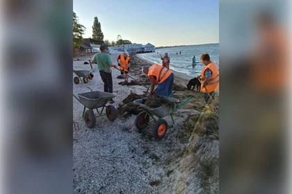 Центральный пляж Бердянска очистили от морской травы
