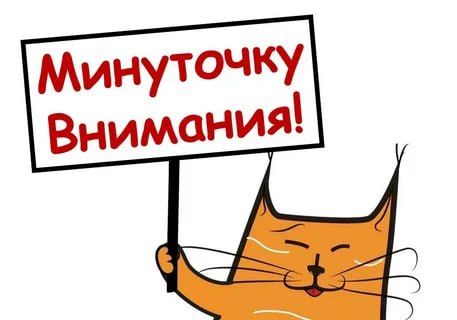 Межрайонная ИФНС России № 2 по Запорожской области напоминает о сроках начала применения ККТ в новых регионах Российской Федерации