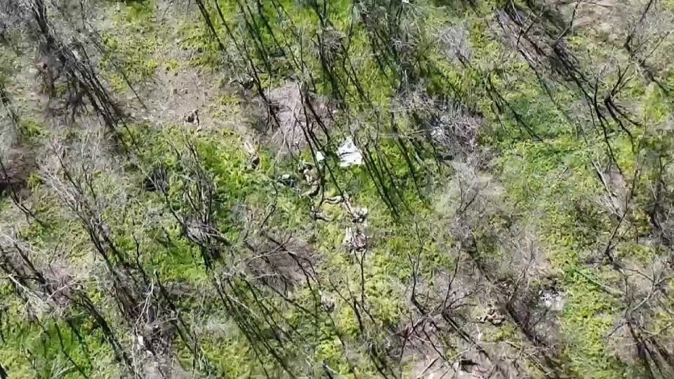 На Дзержинском направлении двое наших бойцов из 1194 МСП уничтожили диверсионную группу из 12 солдат ВСУ