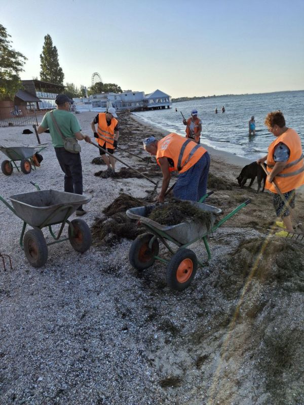 Центральный пляж Бердянска очистили от морской травы