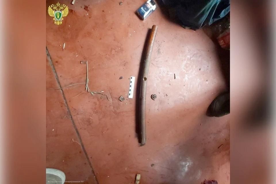 Жителя Запорожской области забили насмерть за попытку украсть телефон и колонку