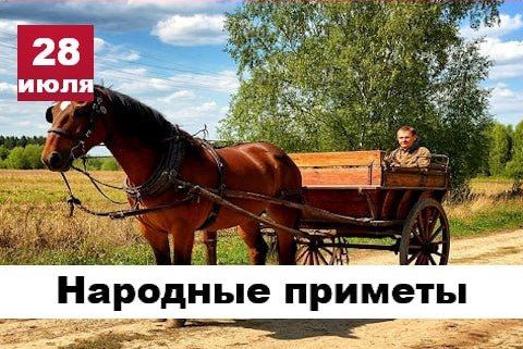 Народные приметы 28 июля. Ливень с утра – к яркому солнцу