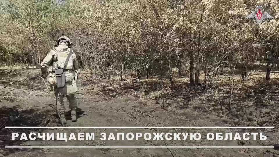 ������ ����������� ������ ����������� ����� ������ � ����������� �������