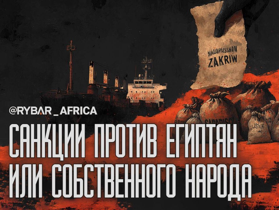 Угрозы выстрелом в ногу. Киев введет санкции против Египта