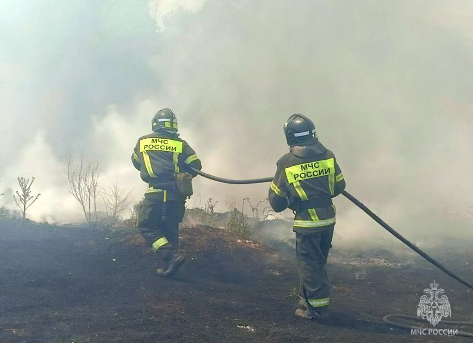 221 пожар ликвидирован в Запорожской области за неделю