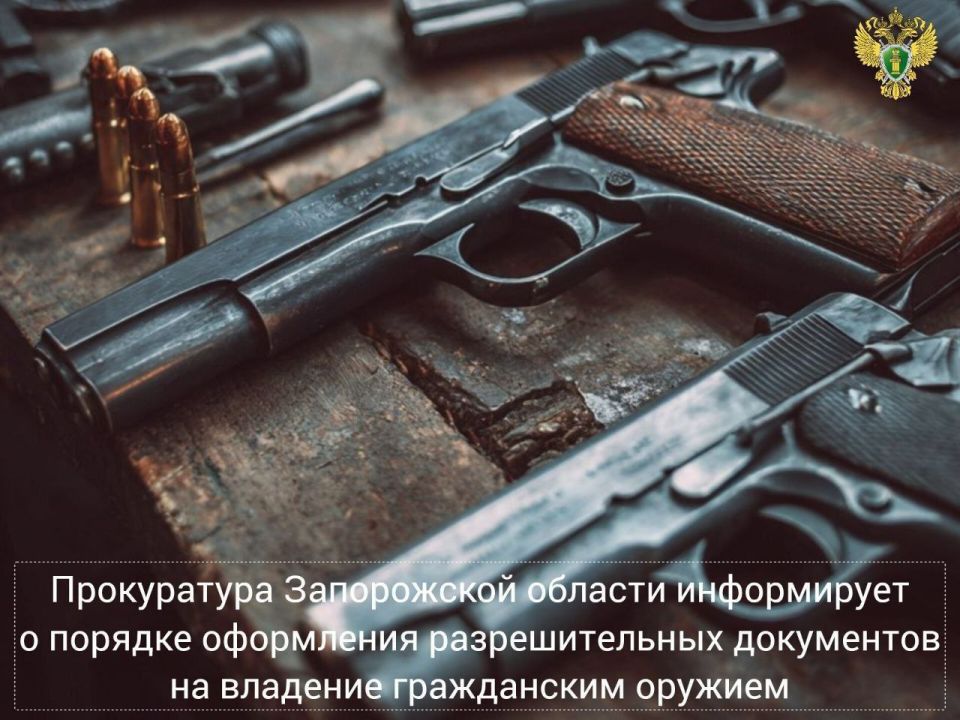 Порядок оформления разрешительных документов на владение гражданским оружием
