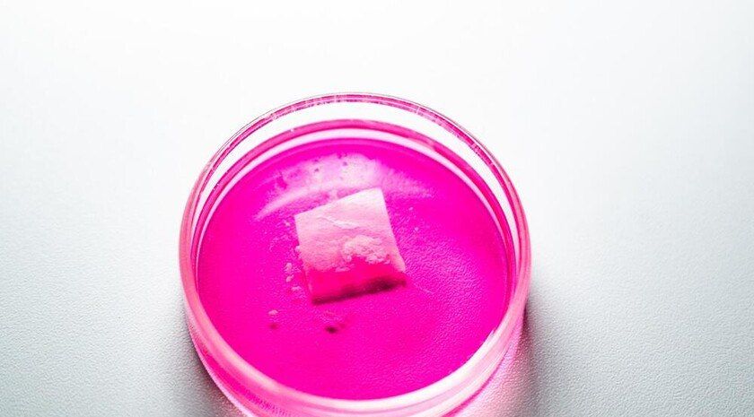 Московские ученые представили прототип технологии искусственных мышц