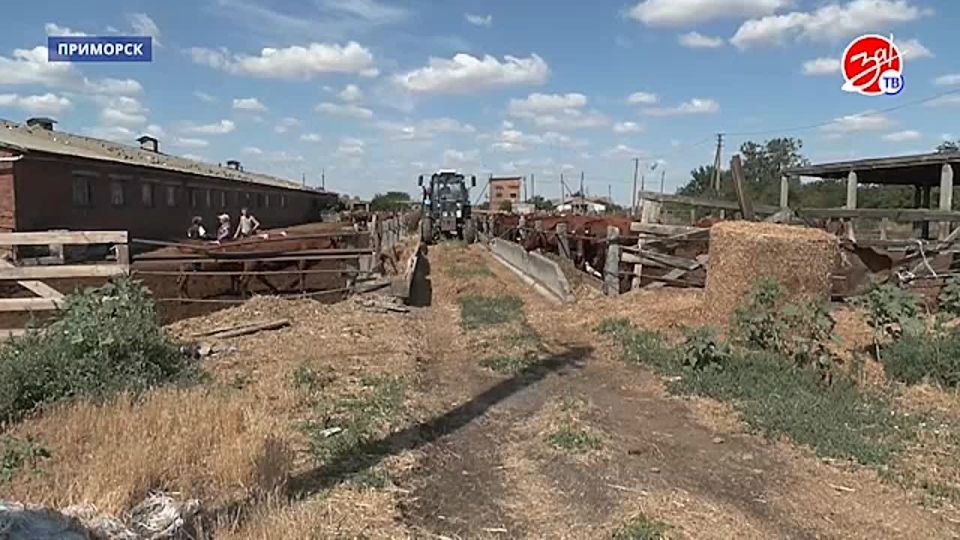 Представители регионального Министерства АПК совместно с зоотехниками провели отбор крупного рогатого скота для разведения