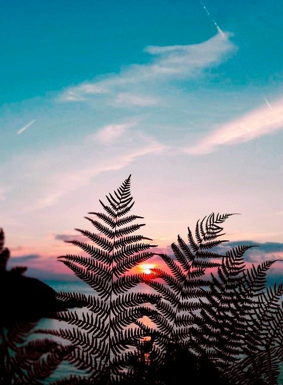 Доброй ночи!