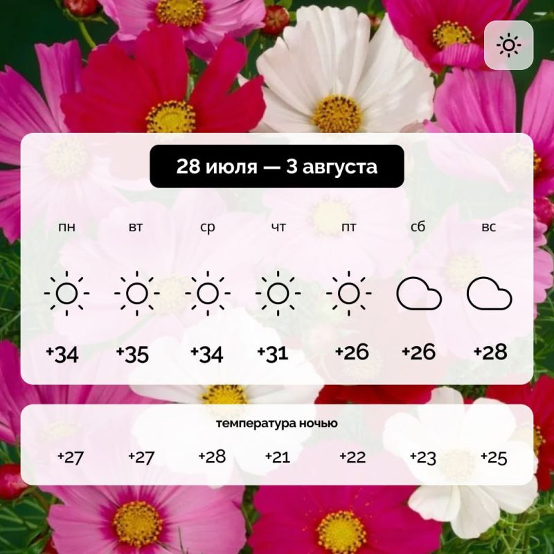 Погода в Запорожской области на 28 июля — 3 августа