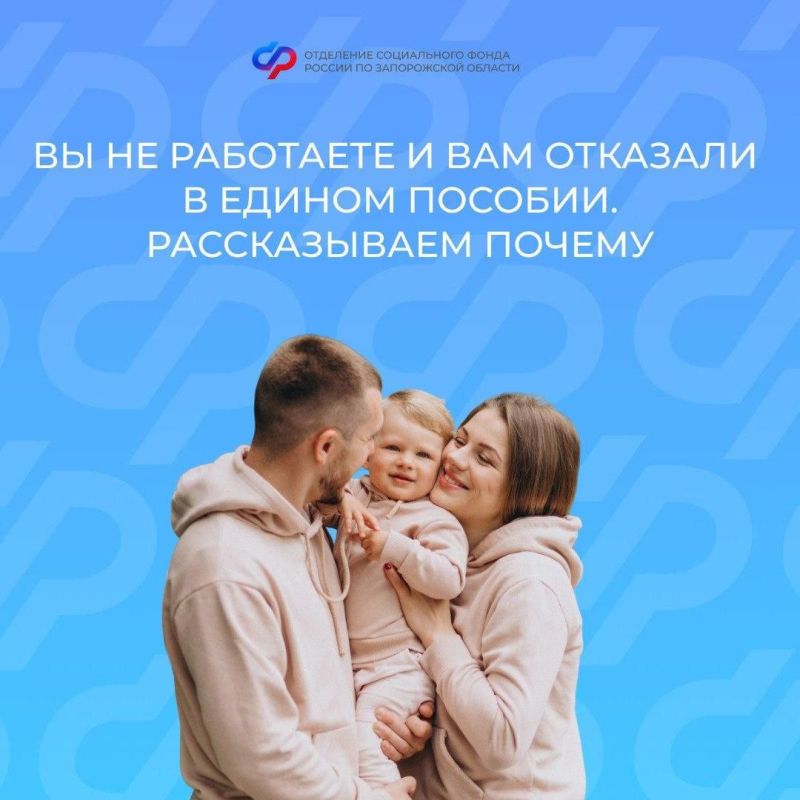 Основания для отсутствия дохода при назначении единого пособия в Запорожской области